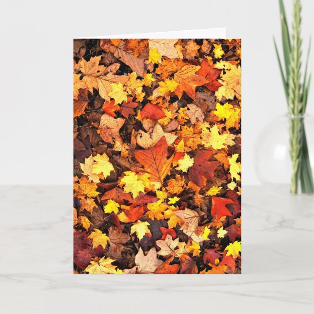 Fall foliage, the Colours of Autumn Card (Front)