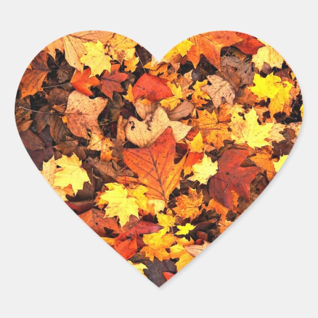 Fall foliage, the Colours of Autumn Heart Sticker (Front)