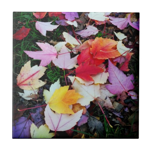 Fall Foliage Tile (Front)