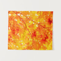 Fall Foliage Trees Nature SMALL