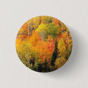 Fall Foliage Valley 3 Cm Round Badge