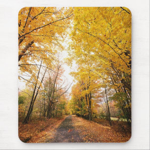 Fall Foliage Walking Path Mouse Mat
