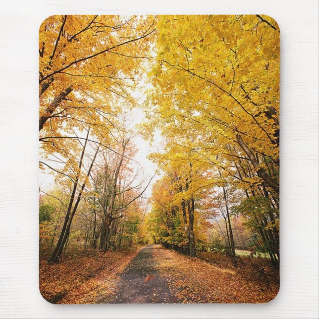 Fall Foliage Walking Path Mouse Mat (Front)