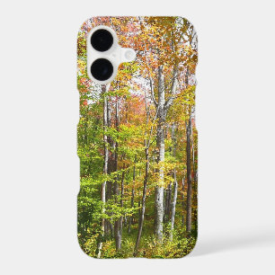 Fall Forest I Autumn Landscape Photography