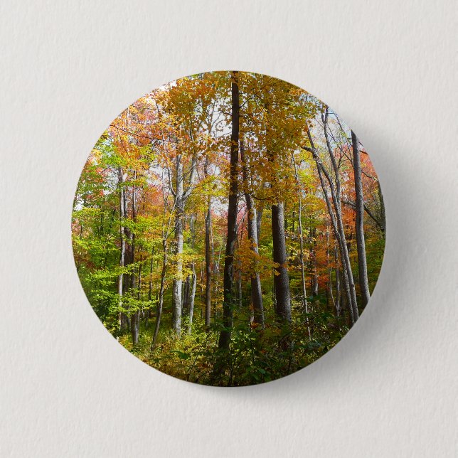 Fall Forest I Autumn Landscape Photography 6 Cm Round Badge (Front)