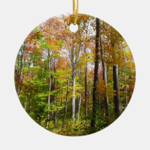 Fall Forest I Autumn Landscape Photography Ceramic Tree Decoration