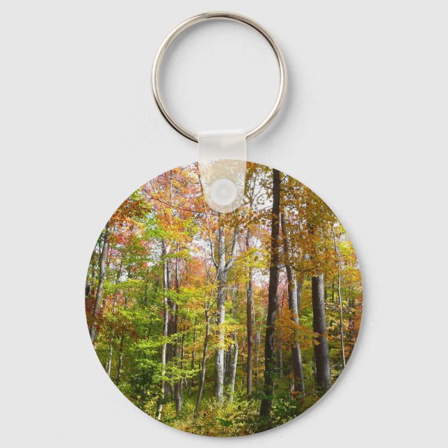 Fall Forest I Autumn Landscape Photography Key Ring (Front)