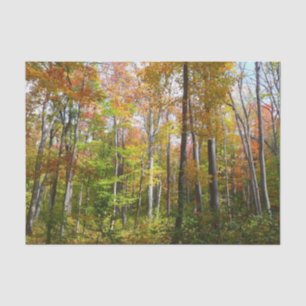 Fall Forest I Autumn Landscape Photography Tissue Paper