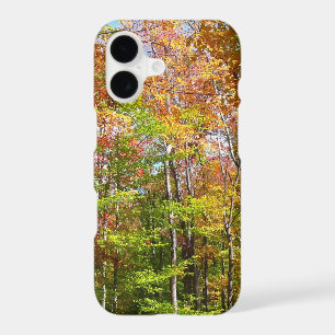 Fall Forest II Autumn Landscape Photography
