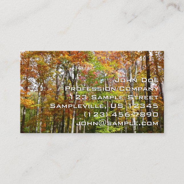 Fall Forest II Autumn Landscape Photography Business Card (Front)