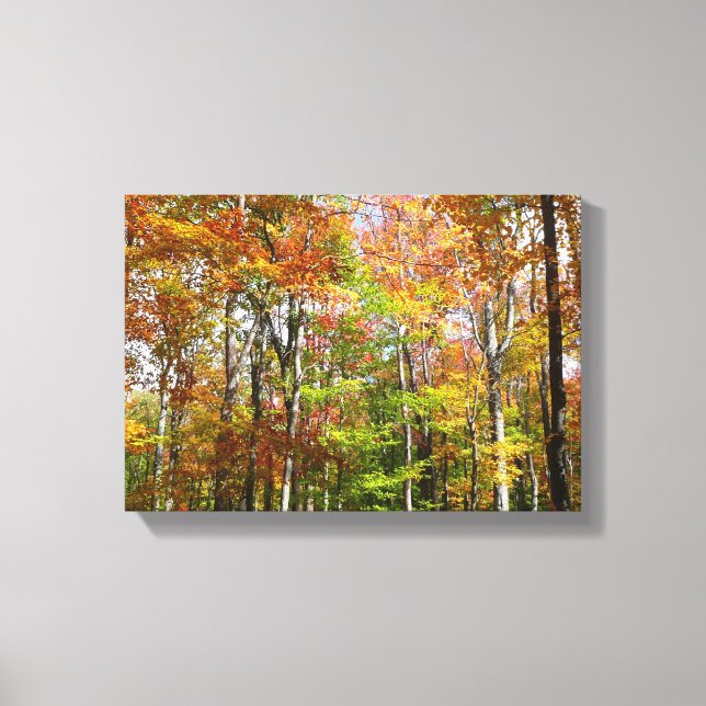 Fall Forest II Autumn Landscape Photography Canvas Print (Front)