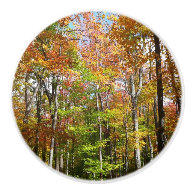 Fall Forest II Autumn Landscape Photography Ceramic Knob (Front)