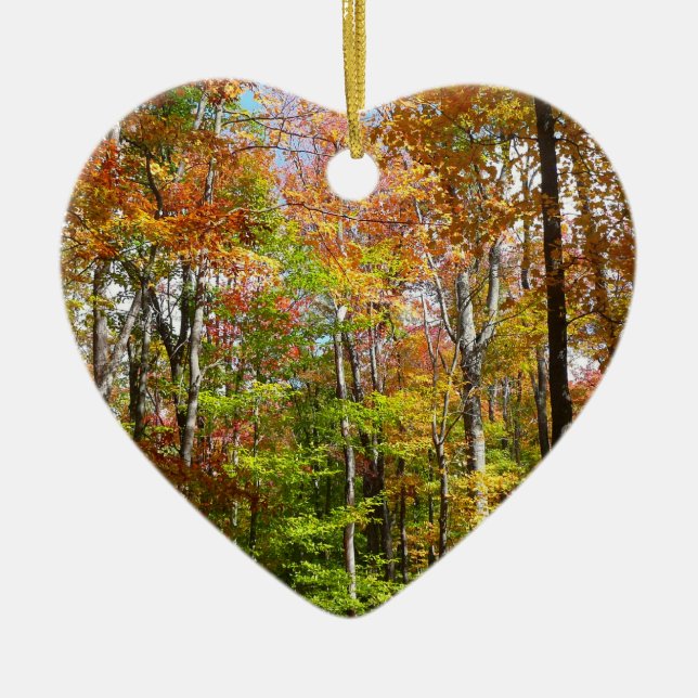 Fall Forest II Autumn Landscape Photography Ceramic Tree Decoration (Front)