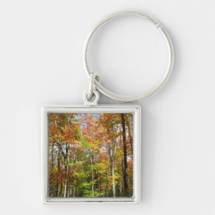Fall Forest II Autumn Landscape Photography Key Ring