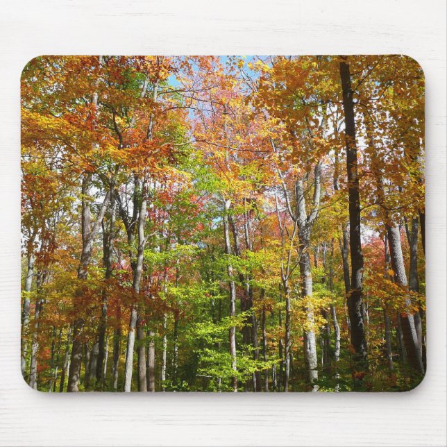Fall Forest II Autumn Landscape Photography Mouse Mat (Front)