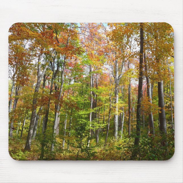 Fall Forest II Autumn Landscape Photography Mouse Mat (Front)