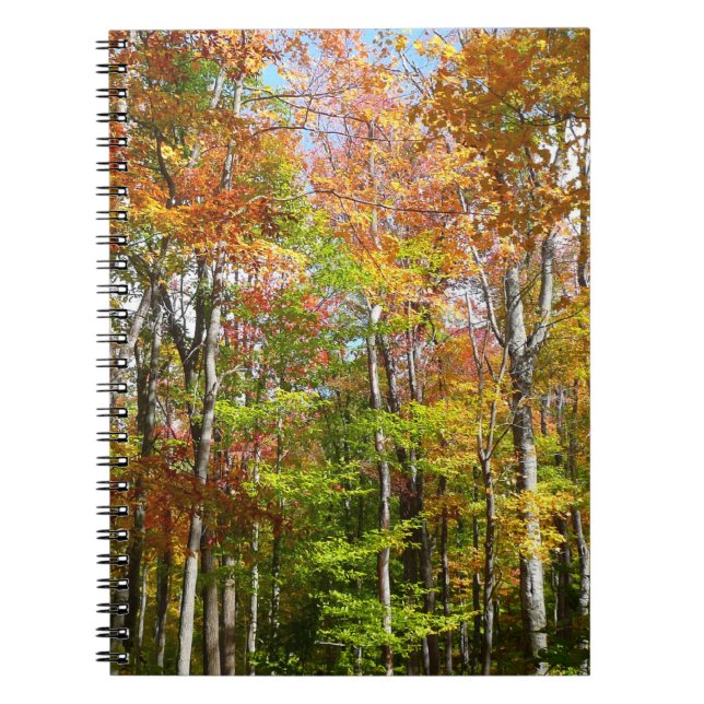 Fall Forest II Autumn Landscape Photography Notebook (Front)