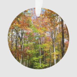 Fall Forest II Autumn Landscape Photography Ornament
