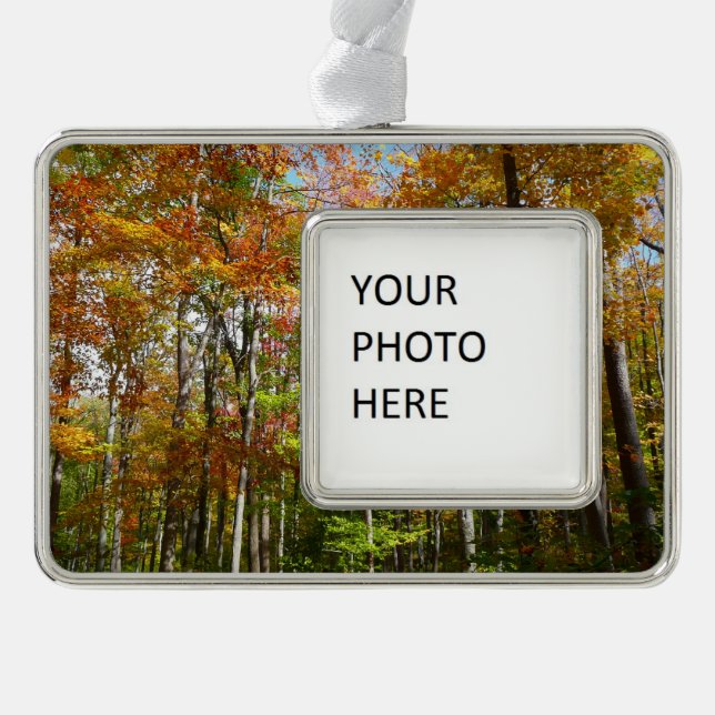 Fall Forest II Autumn Landscape Photography Silver Plated Framed Ornament (Front)
