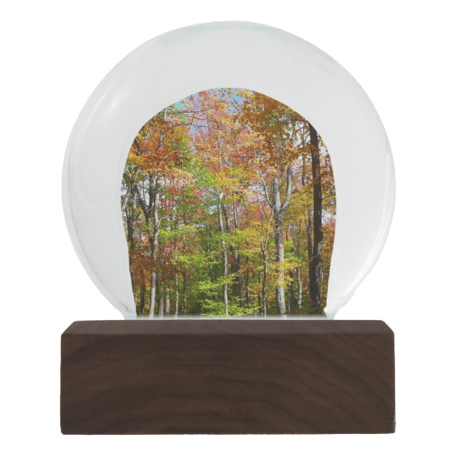 Fall Forest II Autumn Landscape Photography Snow Globe (Front)