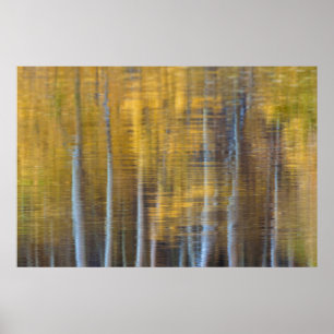 Fall Forest Reflection Abstract Poster