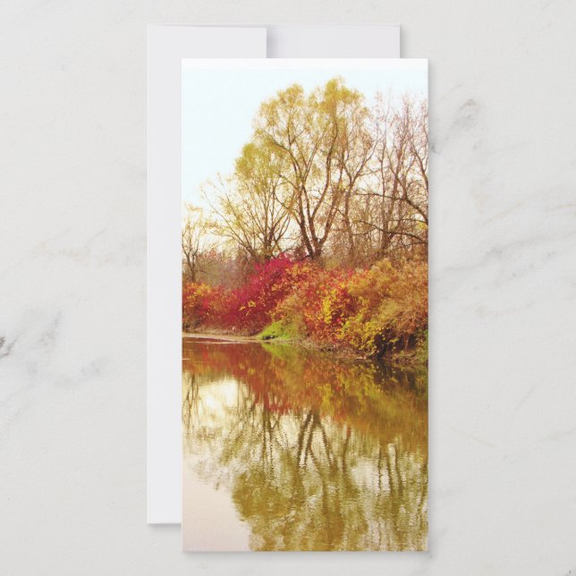 Fall Forest River Scene (Front)