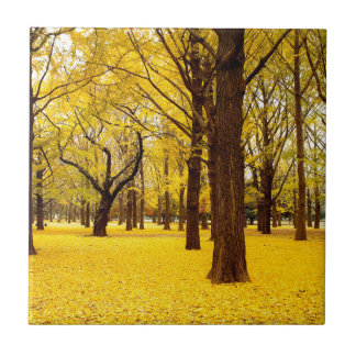 Fall forest scenery tile