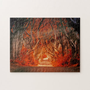 Fall forest sunlight fantasy landscape 11" x 14" jigsaw puzzle