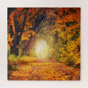 Fall forest sunlight landscape 20" x 20" jigsaw puzzle