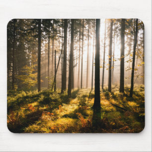 Fall Forest with Sunrays Mouse Mat