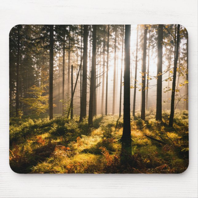 Fall Forest with Sunrays Mouse Mat (Front)