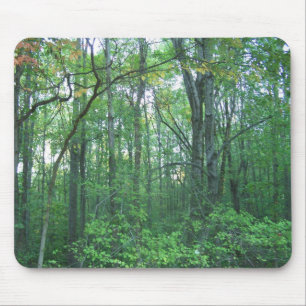Fall Forestry Mouse Mat