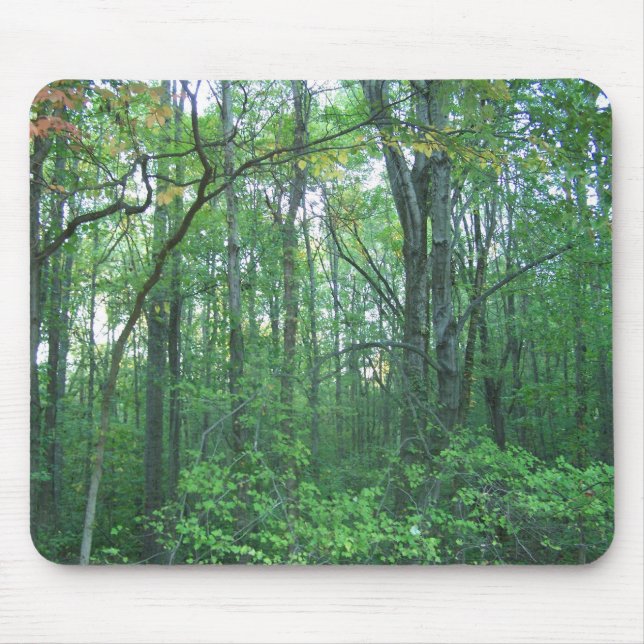 Fall Forestry Mouse Mat (Front)