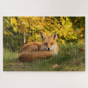 Fall Fox    Jigsaw Puzzle