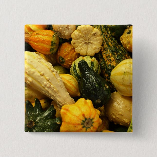 Fall Gourds 15 Cm Square Badge (Front)