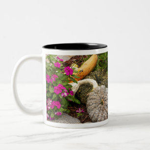 Fall gourds and impatiens flowers in garden. Two-Tone coffee mug