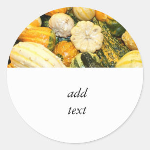 Fall Gourds & Mini Pumpkins Classic Round Sticker