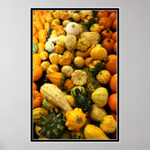 Fall Gourds Poster