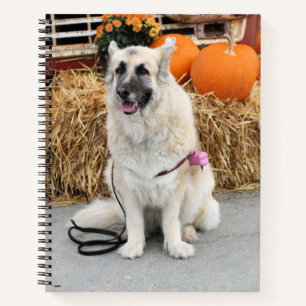 Fall GSD Notebook