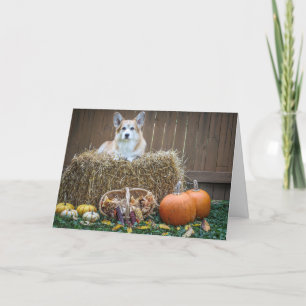 Fall/Halloween Corgi blank card