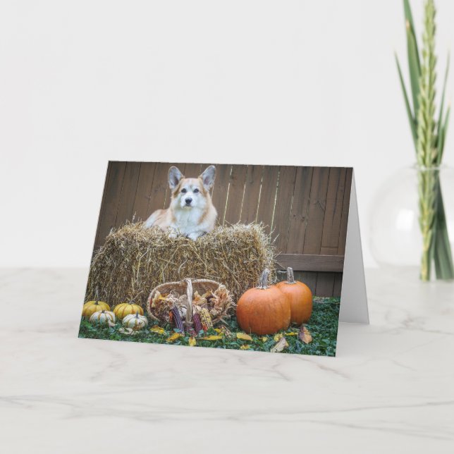 Fall/Halloween Corgi blank card (Front)
