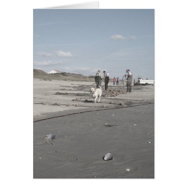 Fall Harvest (Front)