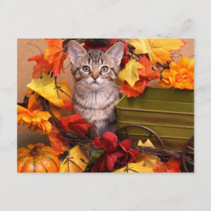 Fall Harvest Postcard