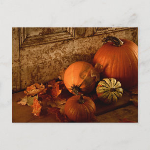 Fall Harvest/ Pumpkins And Gourds At The Door Postcard