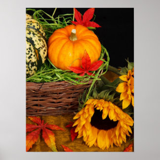 Fall Harvest Sunflowers Poster