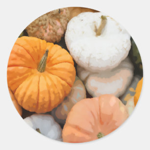 Fall Heirloom Pumpkin and Gourd Autumn Painting Classic Round Sticker