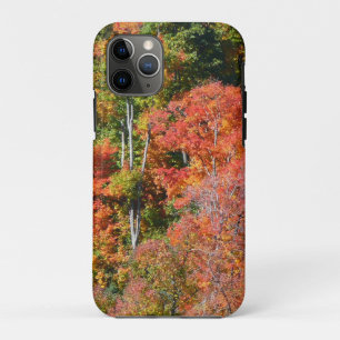 Fall Hillside Colourful Autumn Nature Photography iPhone 11 Pro Case