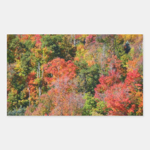 Fall Hillside Colourful Autumn Nature Photography Rectangular Sticker