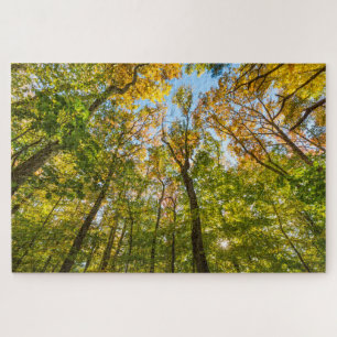 Fall in a Forest in Amesbury, Massachusetts Jigsaw Puzzle