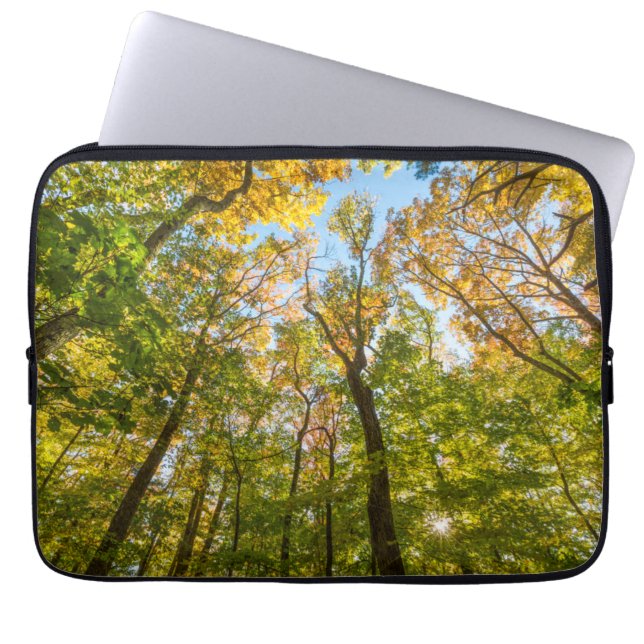 Fall in a Forest in Amesbury, Massachusetts Laptop Sleeve (Front)